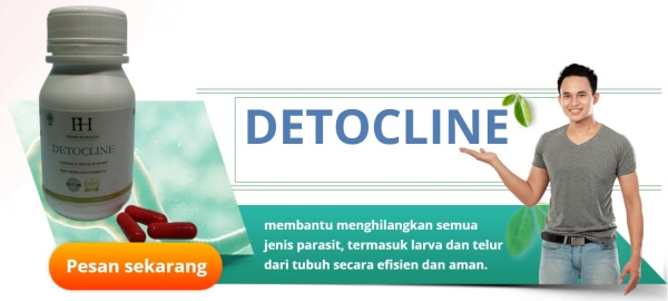 What Is Detocline and How Does It Work