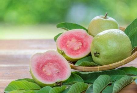 Guava 