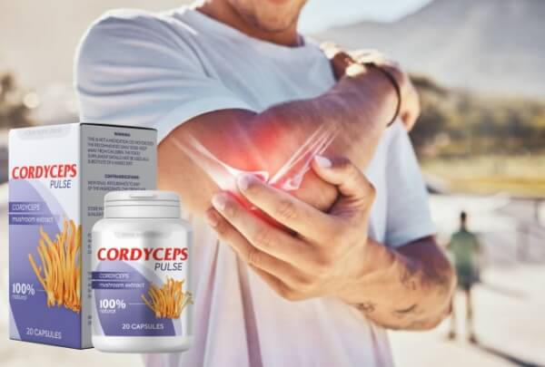 Cordyceps Pulse – What Is It & How Does It Work