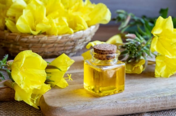 Evening Primrose Oil