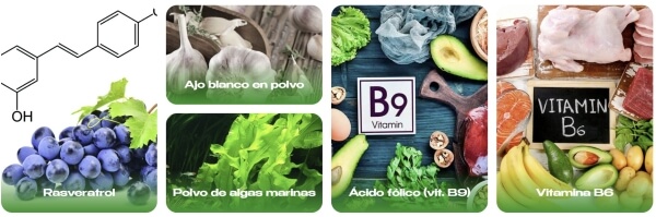 Composition & Ingredients