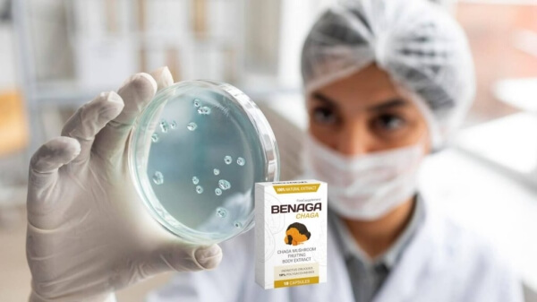 Benaga Chaga for Parasitic Infections & Slimming
