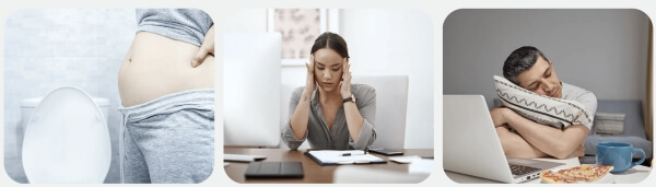 Ingredients and Composition