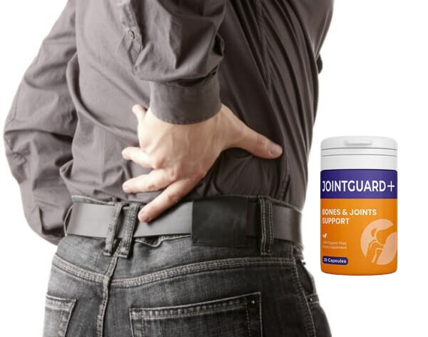 What Is JointGuard and How Does It Work