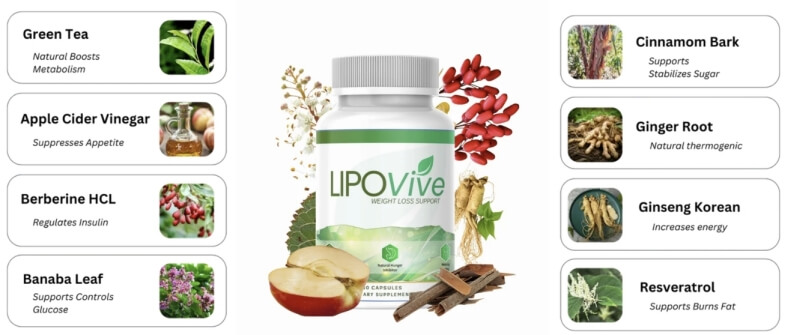 Composition & Ingredients Composition & Ingredients