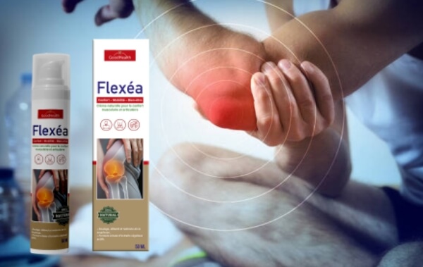 What Is Flexea & What Does It Serve for