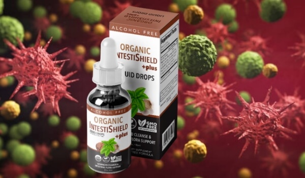 What Is IntestiShield Plus & What Does It Do