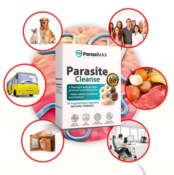 ParasiMax Price in the Philippines – How Much Do They Cost ParasiMax Price in the Philippines – How Much Do They Cost