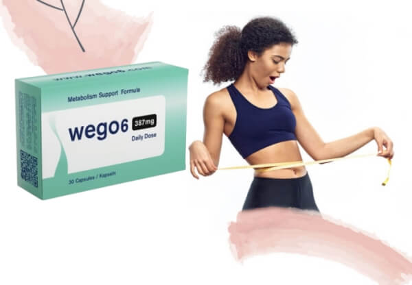 Wego6 Price in Switzerland, Austria, and Germany Wego6 Price in Switzerland, Austria, and Germany