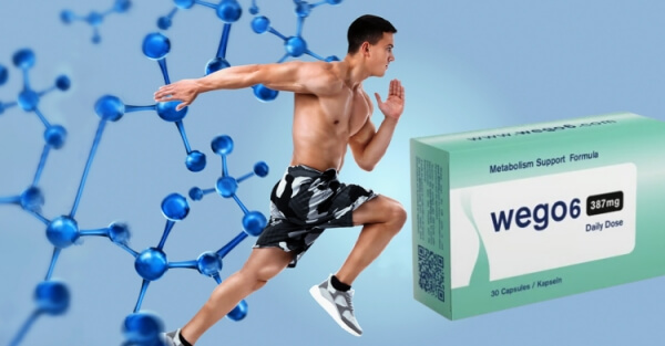 How to Use Wego6 Instructions How to Use Wego6 Instructions