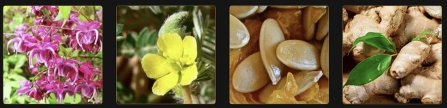 Composition & Ingredients Composition & Ingredients