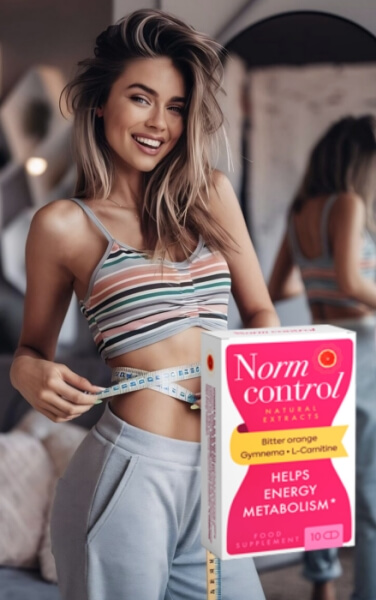 How to Use Normcontrol Instructions