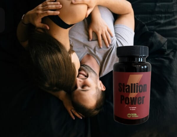 How to Use Stallion Power Instructions